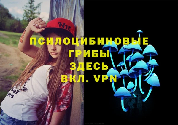 кокаин перу Богданович