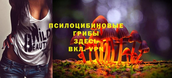 круглые Богородицк