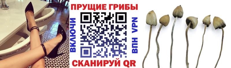 Псилоцибиновые грибы Magic Shrooms  Гай 